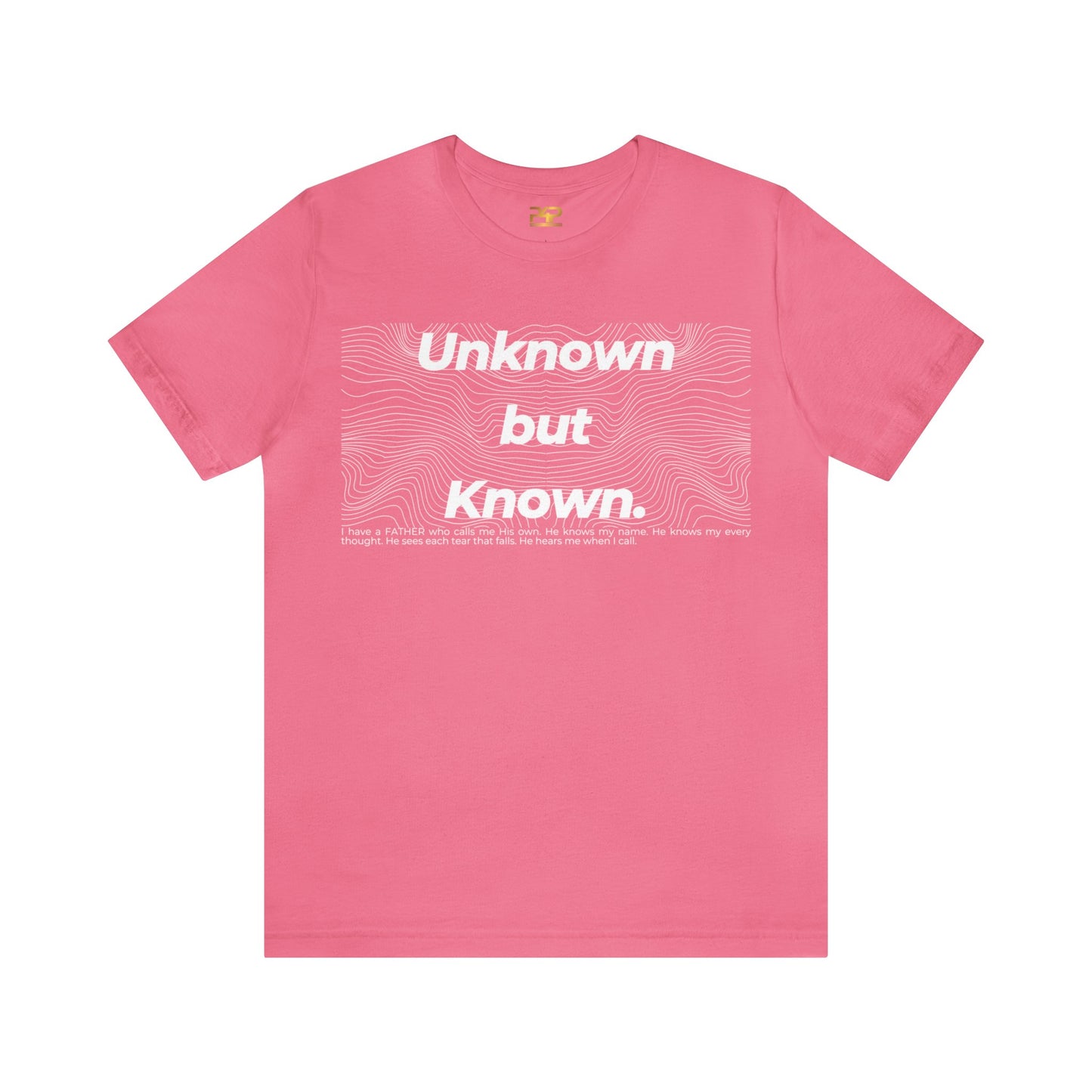 UNKNOWN BUT KNOWN Unisex Jersey Short Sleeve Tee